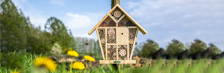 Welke insecten leven er in een insectenhotel?