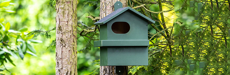 Waar plaats je een nestkast voor eekhoorns?