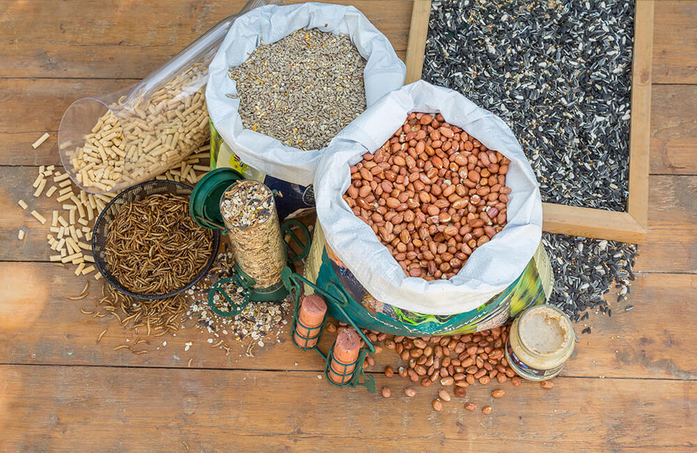 Een verscheidenheid aan vogelvoer, waaronder pinda's, zonnebloempitten, meelwormen en zaadmengsels.