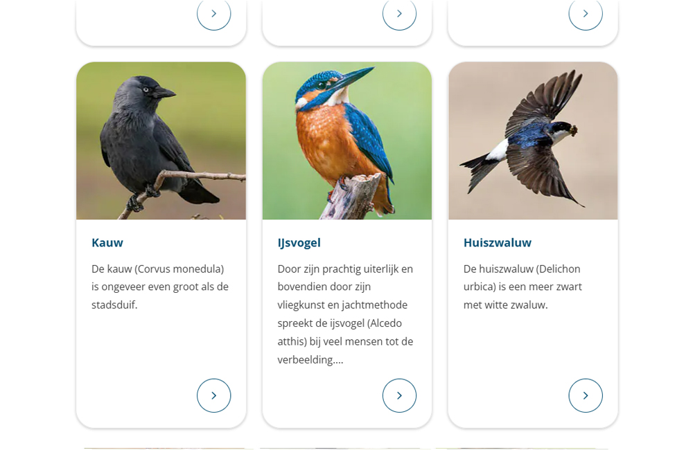 Screenshot van het birdlexikon van Vivara - Verschillende soorten tuinvogels worden getoond