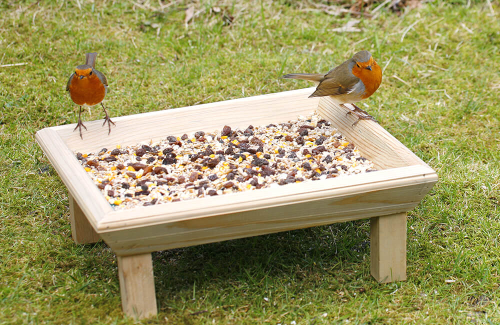 Twee roodborstjes op een vogelvoedertafel met zaadmix.