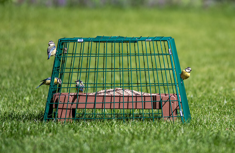 Een vogelvoedertafel waarop een beschermkooi is geplaatst.