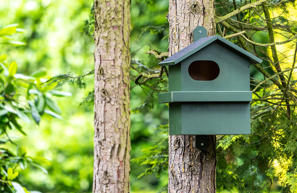 A squirrel nest box.