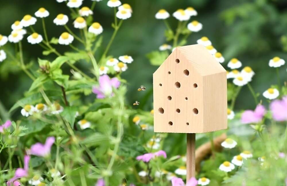 Een klein insectenhotel tussen wat planten.