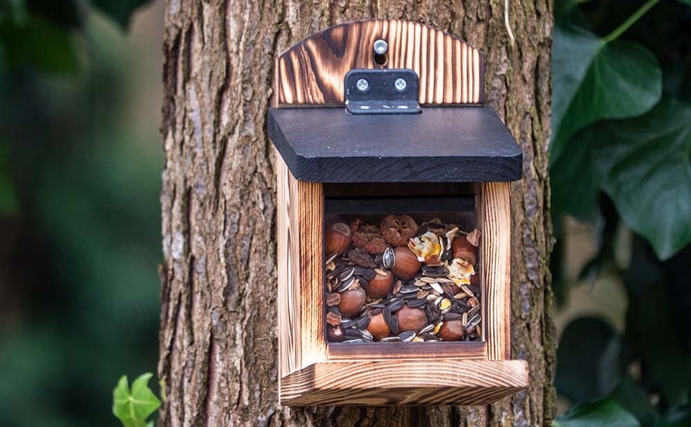 Eekhoorn voederhuisje aan een boom