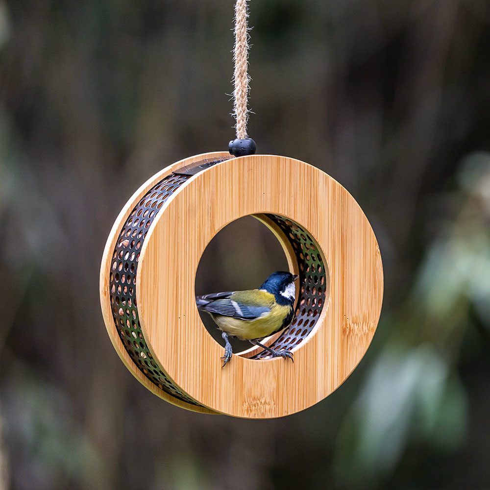 Een koolmees in een vogelvoederhuisje