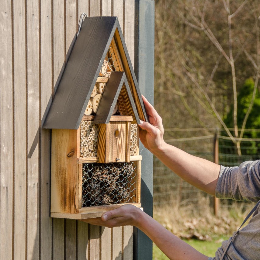 Een insectenhotel wordt opgehangen aan een houten huis