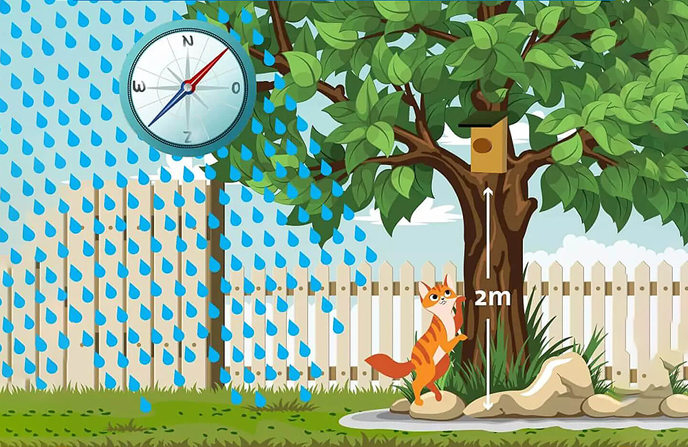 Informatieve foto over hoe hoog een nestkast moet worden geplaatst