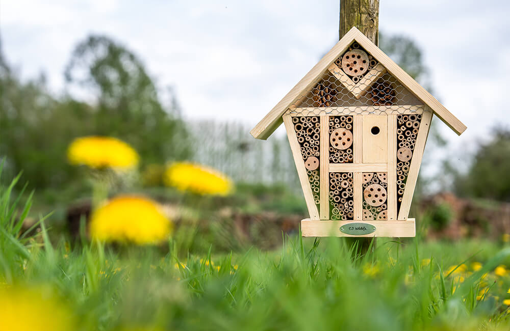 Een insectenhotel omgeven door planten op een veld