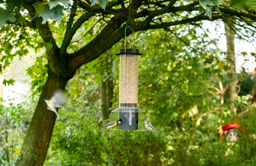 Voedersilo voor vogels die in een boom hangt