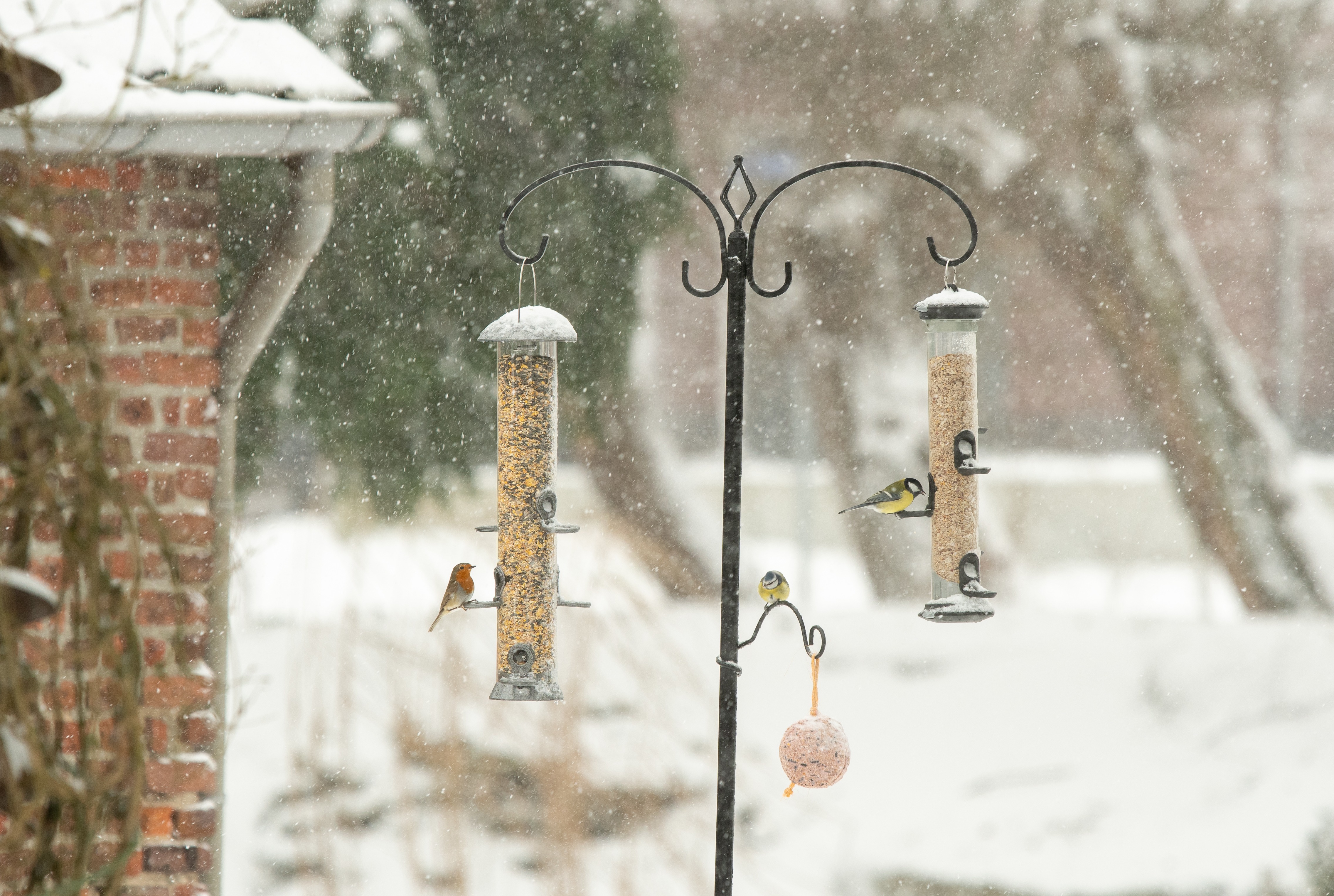 Twee voedersilo's deie buiten hangen in de sneeuw